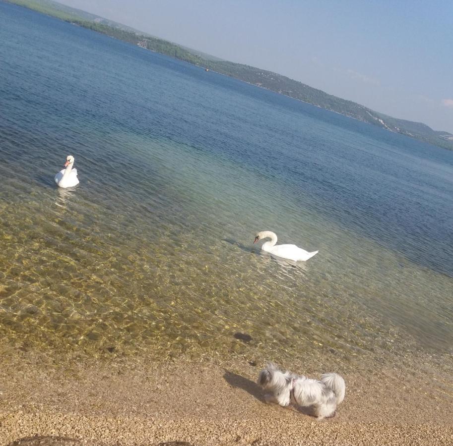 Apartment Ivan Raslina Εξωτερικό φωτογραφία